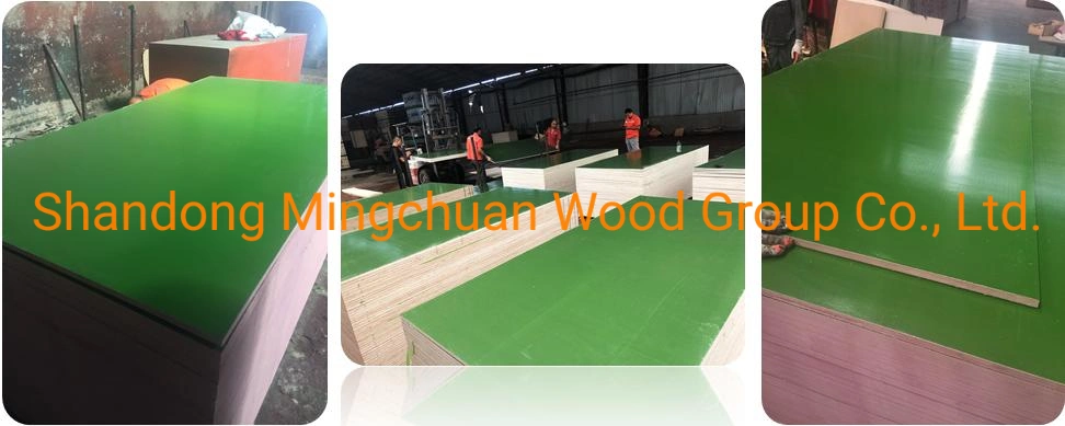 Green PP Plywood Hardwood PVC Plywood Shuttering Plywood Marine Plywood