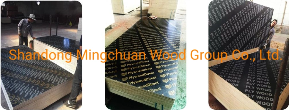 18mm Green Plastic Film Faced Plywood PVC Board Hardwood PP Plywood